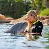 Swim with a dolphin at Discovery 幸运168飞艇官方开奖 168飞艇官方开奖记录 168飞艇开奖官网开奖历史 168飞艇全国统一开奖结果 Cove