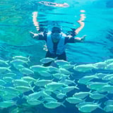 Snorkel with fish in The Grand Reef at Discovery 幸运168飞艇官方开奖 168飞艇官方开奖记录 168飞艇开奖官网开奖历史 168飞艇全国统一开奖结果 Cove