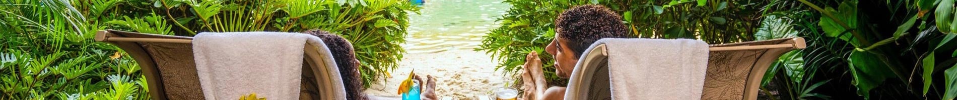 Celebrate a special occasion at Discovery Cove