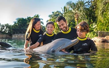 Dolphin Swim at Discovery Cove Orlando