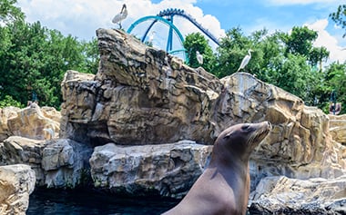 SeaWorld Orlando