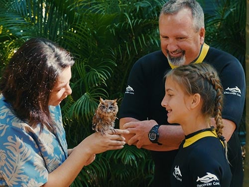 Discovery Cove Animal Trek