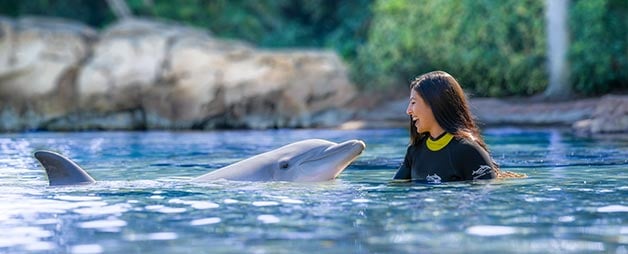 Swim with a dolphin at Discovery Cove Orlando