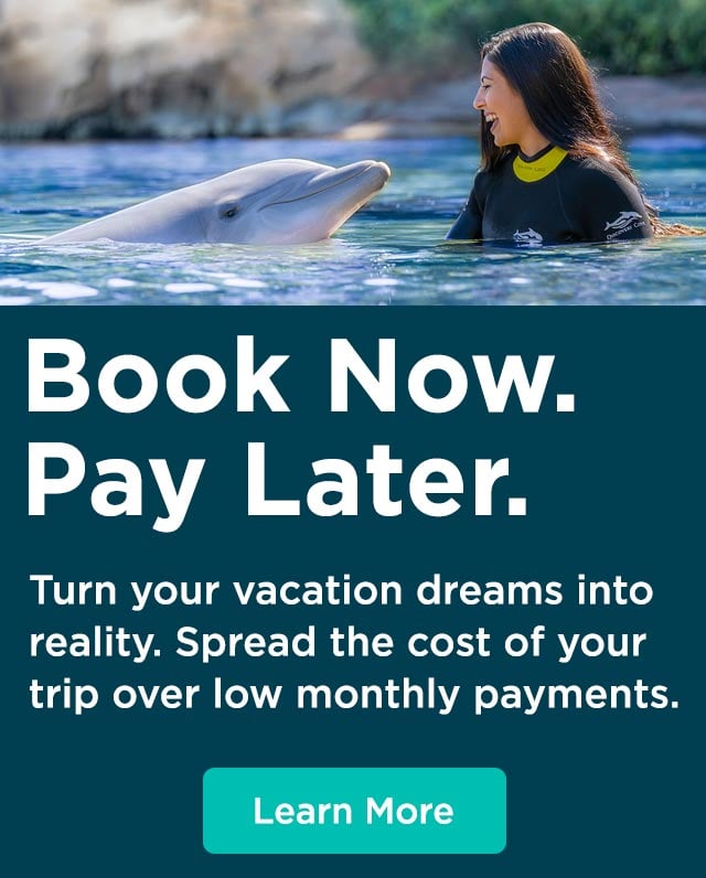 Book Now Pay Later