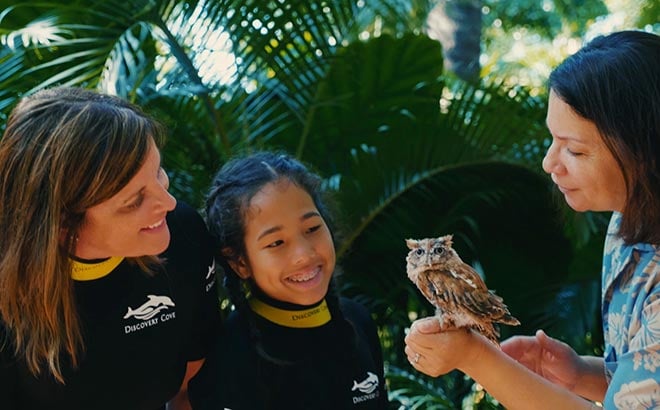 Conservation Kiosk at Discovery Cove Orlando