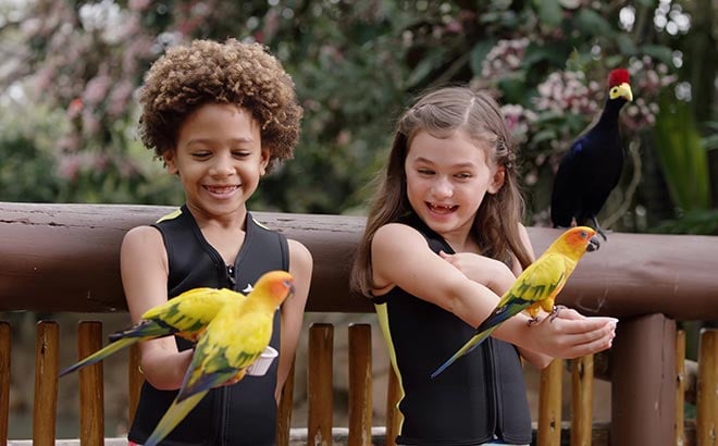 Kids at the Explorers Aviary in Discovery Cove