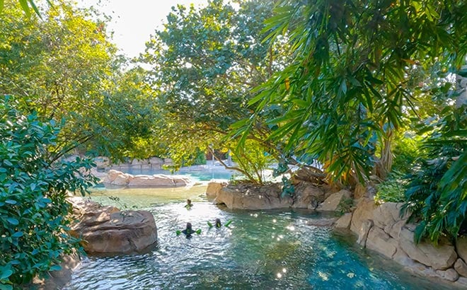 35 Acres of Tropical Oasis at Discovery Cove in Orlando Florida