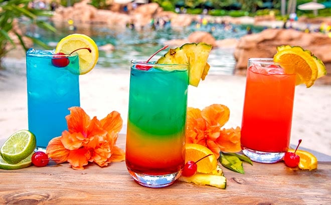 Premium Drink Package available at Discovery Cove Orlando