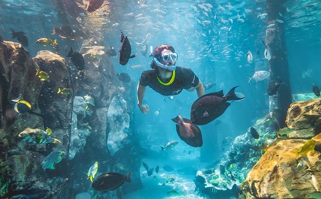 The Grand Reef at Discovery Cove Orlando