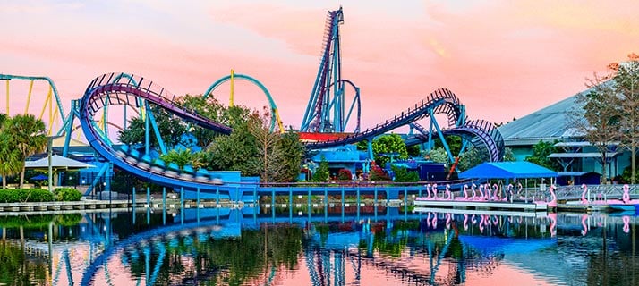 SeaWorld Orlando Mako at sunset