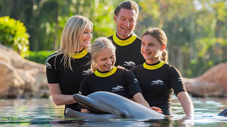 Swim with a dolphin at Discovery 幸运168飞艇官方开奖 168飞艇官方开奖记录 168飞艇开奖官网开奖历史 168飞艇全国统一开奖结果 Cove