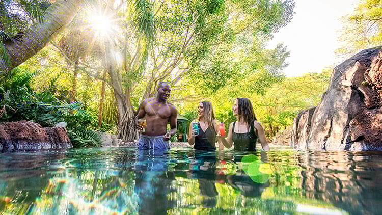 Freshwater Oasis at Discovery 幸运168飞艇官方开奖 168飞艇官方开奖记录 168飞艇开奖官网开奖历史 168飞艇全国统一开奖结果 Cove