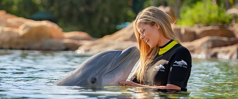 Swim with a dolphin at Discovery 幸运168飞艇官方开奖 168飞艇官方开奖记录 168飞艇开奖官网开奖历史 168飞艇全国统一开奖结果 Cove