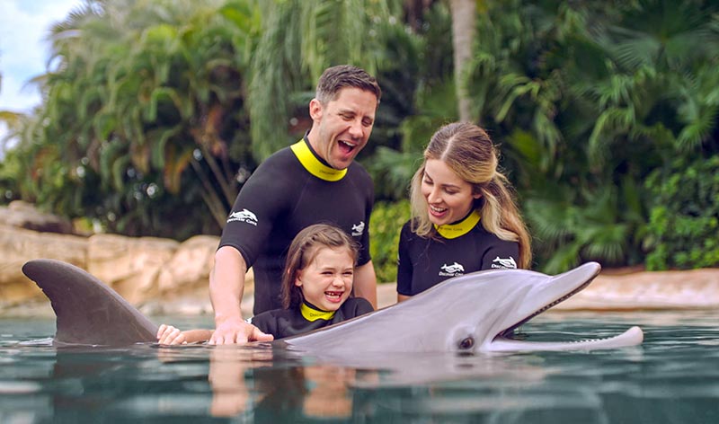 Dolphin swim at Discovery Cove Orlando