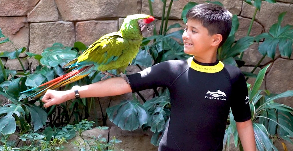 Discovery Cove Animal Trek