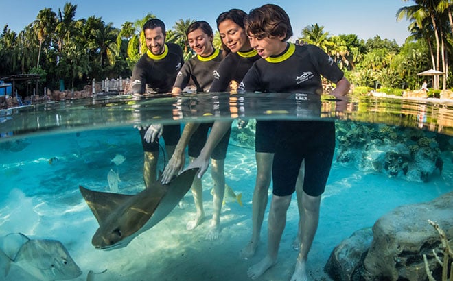 What Does All-Inclusive Mean at Discovery Cove Orlando?