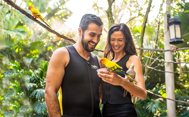 What Does All-Inclusive Mean at Discovery Cove Orlando?