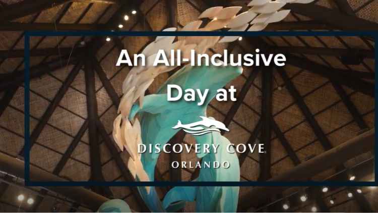 All Inclusive Day