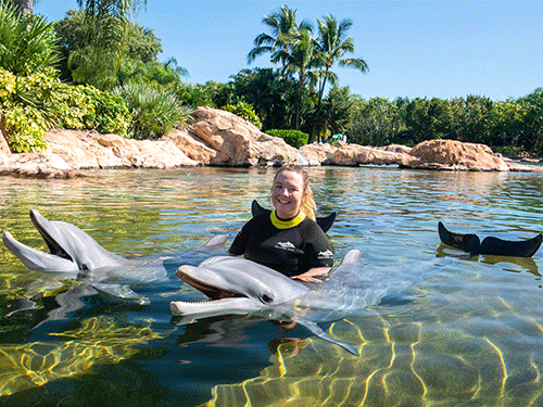Discovery Cove Orlando Trainer for a Day