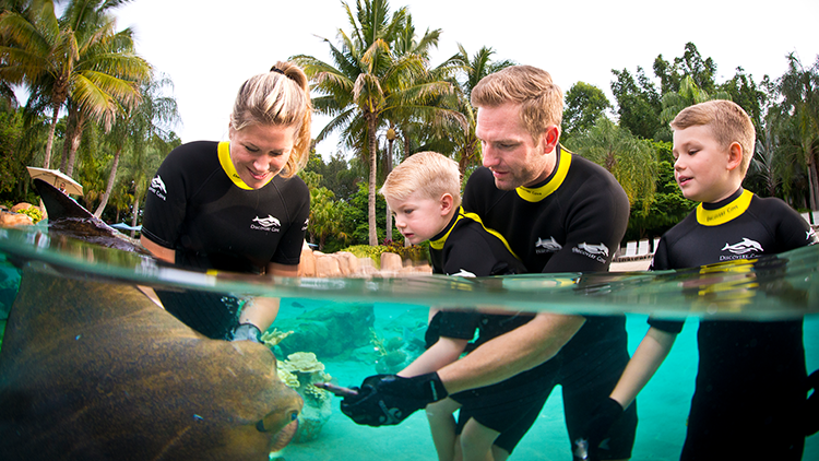 Feed Stingrays at Discovery Cove Orlando
