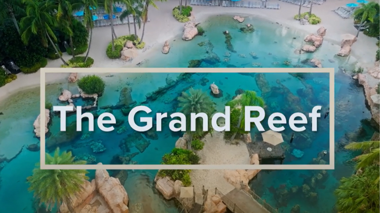 The Grand Reef